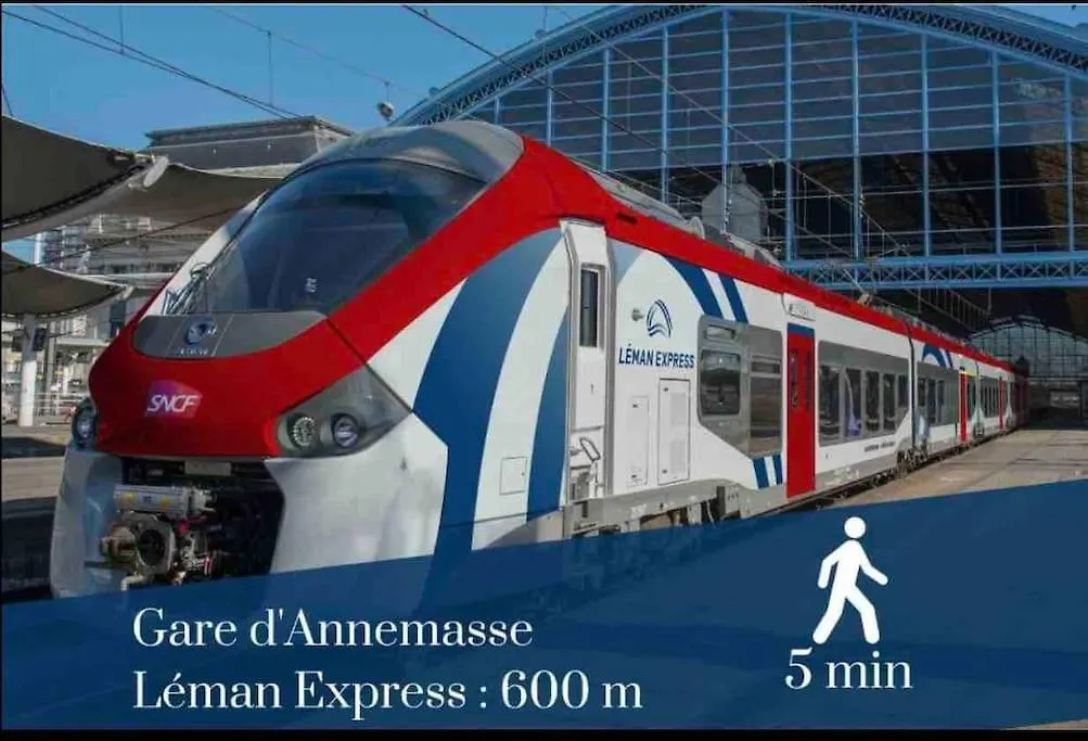 Virginia 600M De La Gare Apartment Annemasse